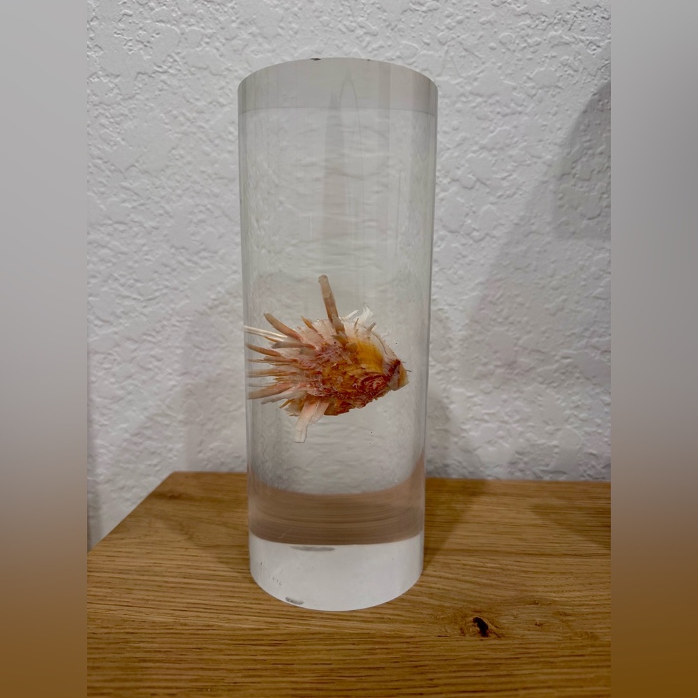 Vintage Arthur Court Acrylic Cylinder Lucite with Decorative Lionfish Specimen